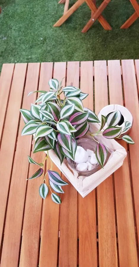 Suite Blanc Apartments - Monolocali Indipendenti Con Cucina E Bagno Privato - Check-In E Check-Out Con Codice In Autonomia H24 - Terrazza In Comune Necessario Avere Wathsapp O App Di Messaggistica Istantanea Per Foto E Video Guspini Italia